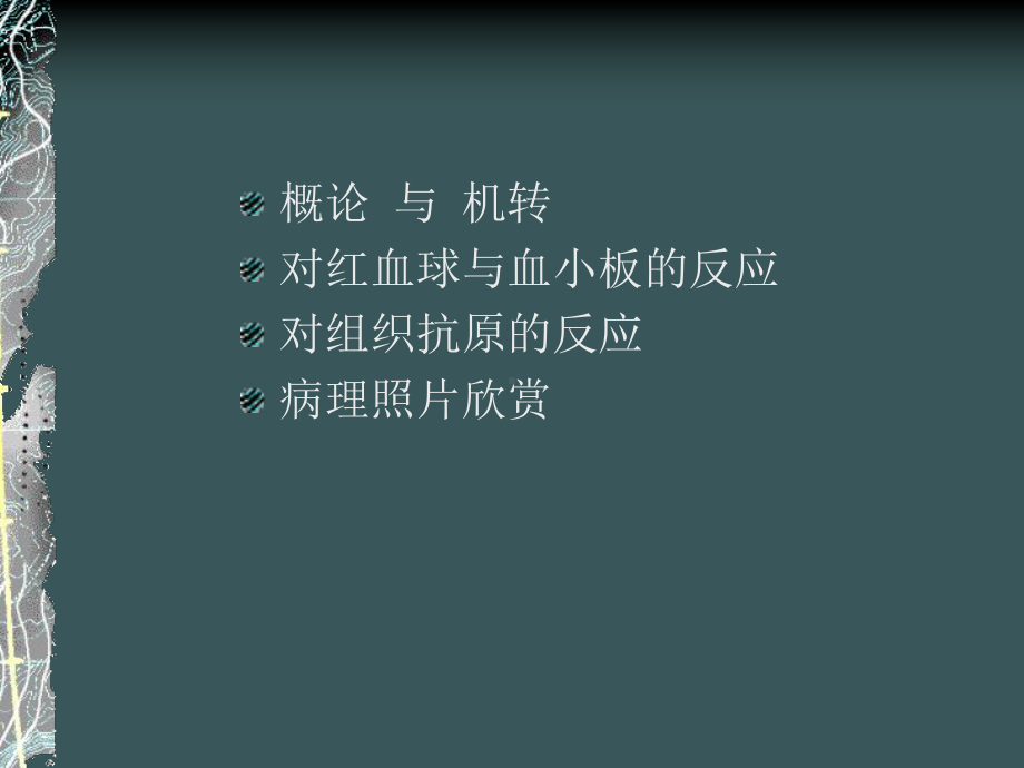 第二型过敏反应课件.ppt_第2页