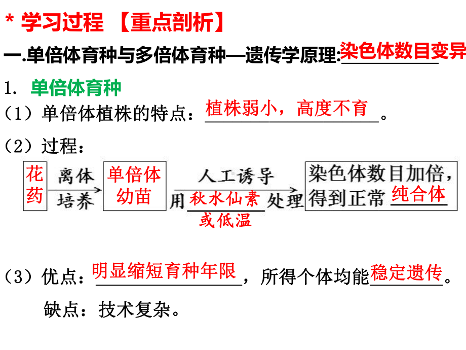 2022新人教版（2019）《高中生物》必修第一册《一轮复习生物育种的原理及应用》（ppt课件）（16张PPT）.ppt_第3页