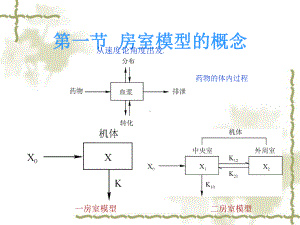 经典房室模型理论课件.ppt