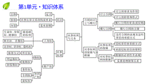 （部）统编版《高中政治》选择性必修第二册法律与生活 总复习ppt课件.pptx