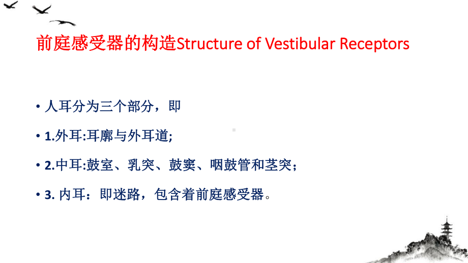 眩晕耳石症课件.pptx_第3页