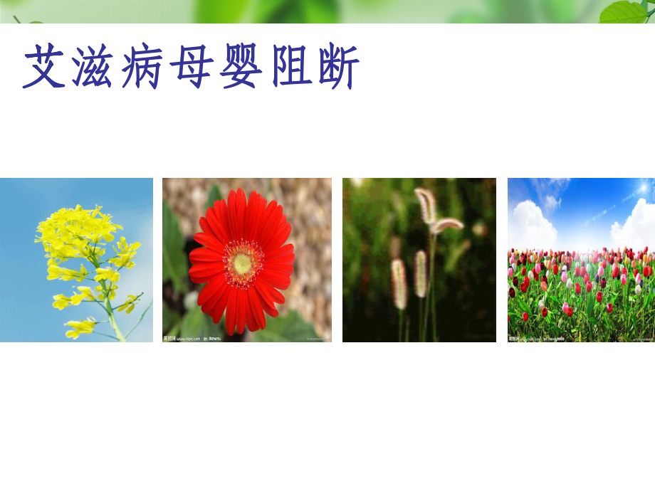 艾滋病母婴阻断-课件2.ppt_第1页