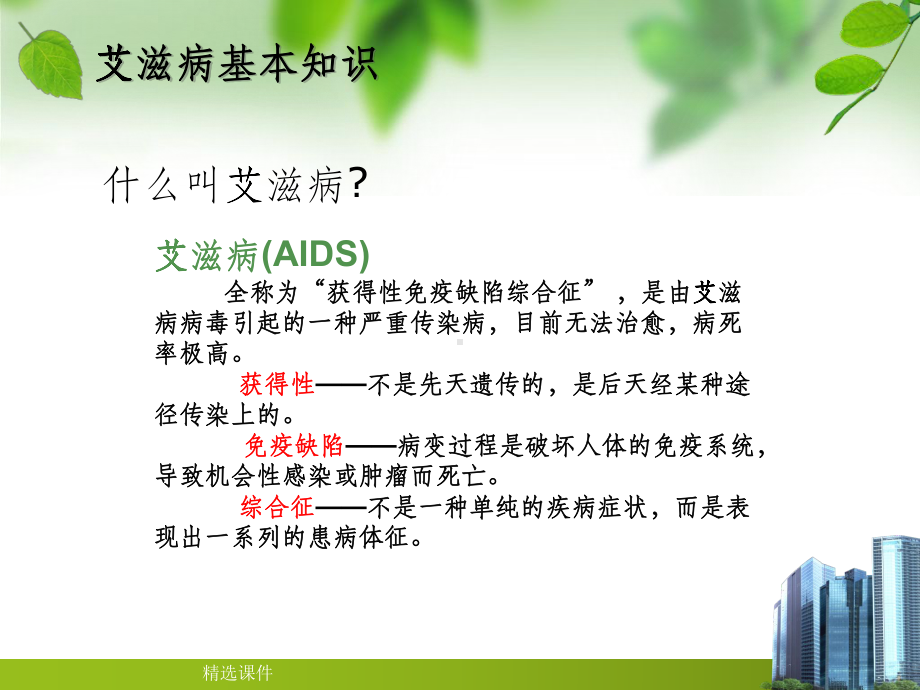 艾滋病母婴阻断-课件2.ppt_第3页