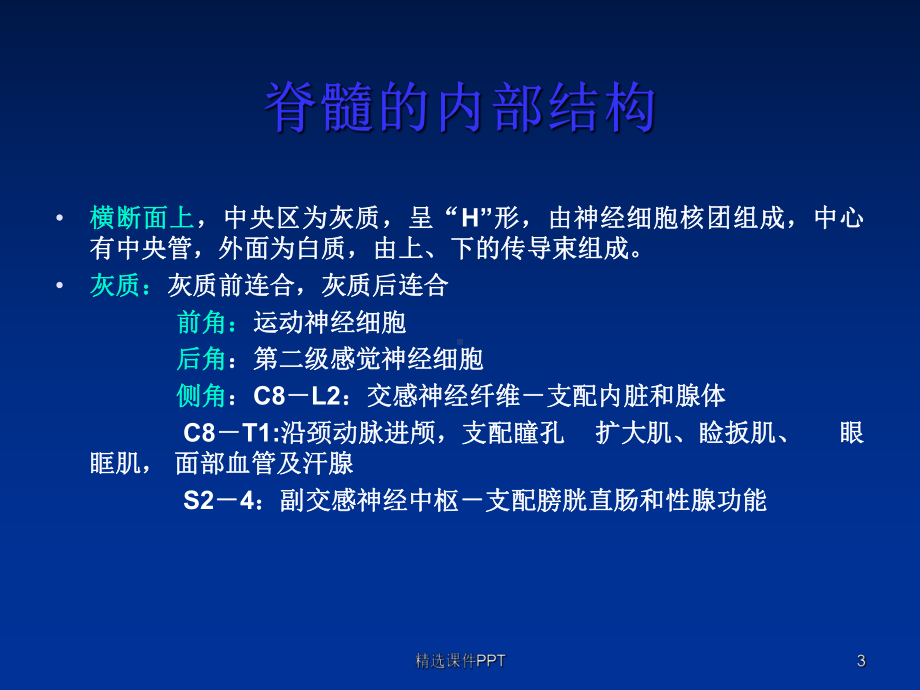 脊髓疾病的神经定位诊断课件.ppt_第3页