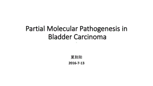 膀胱癌发病机制XYY概要课件.pptx