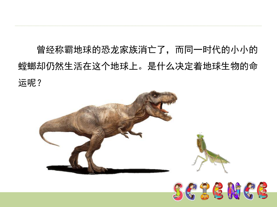 谁选择了它们生物的多样性（教学课件）.pptx_第2页