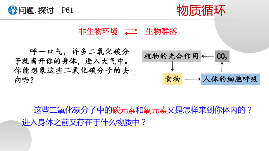 3-3 生态系统的物质循环ppt课件-2022新人教版（2019）《高中生物》选择性必修第二册.pptx_第3页