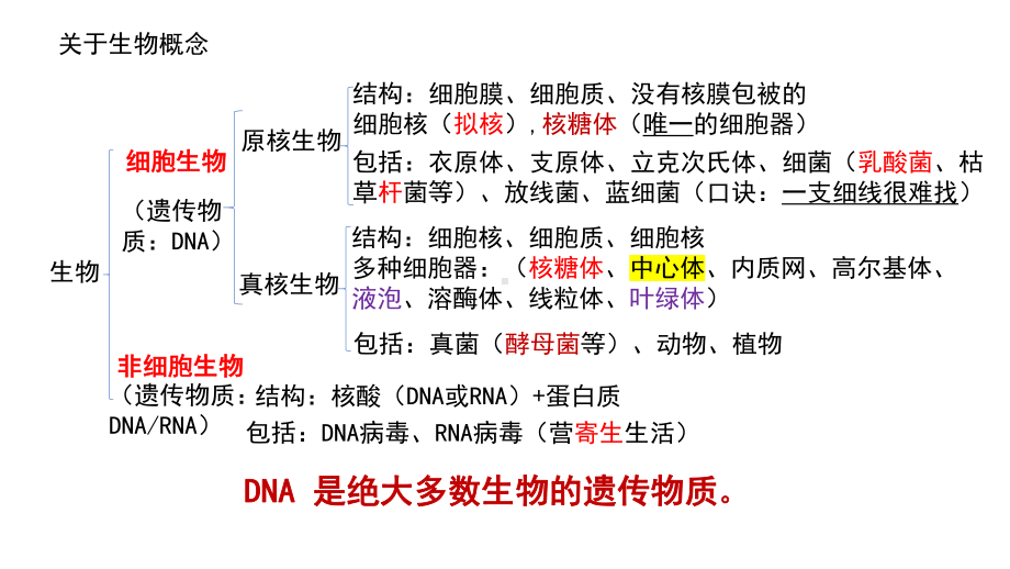 2022新人教版（2019）《高中生物》必修第二册学业水平考试复习提纲（ppt课件）.pptx_第2页