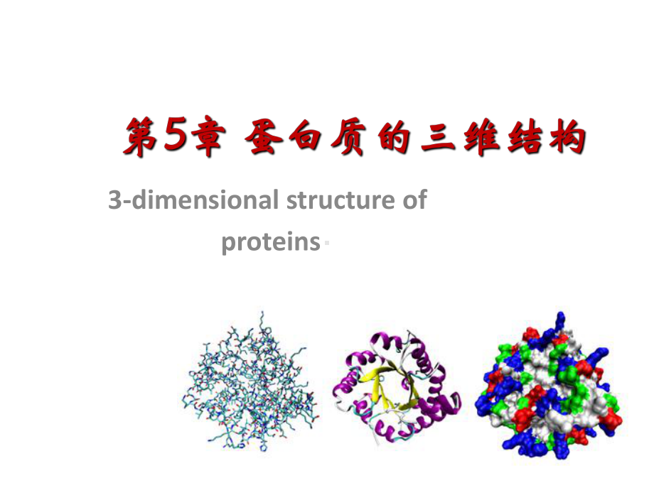 第5章蛋白质的三维结构课件.ppt_第1页