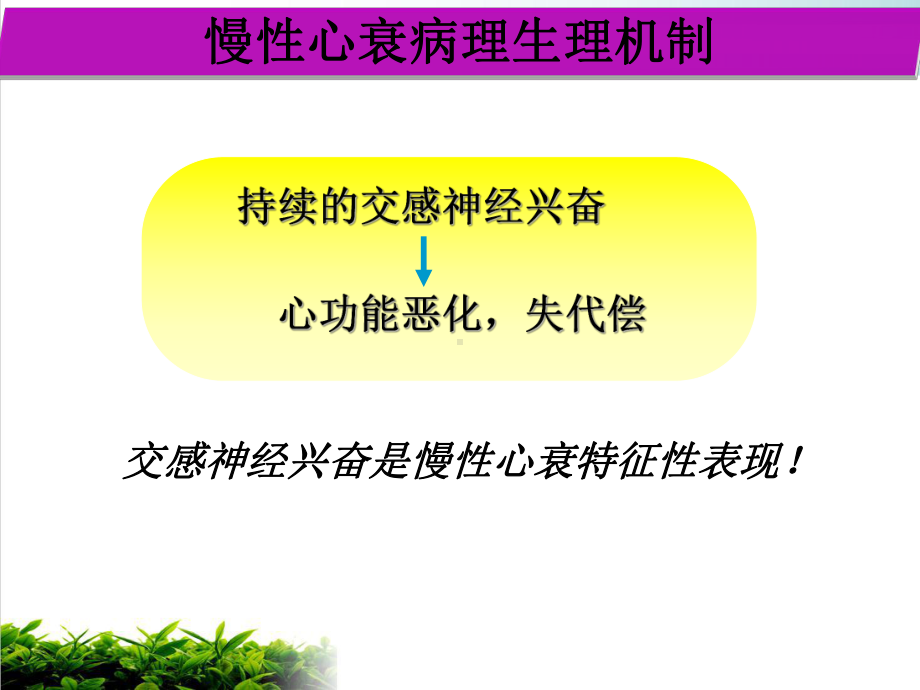 运动训练改善慢性心衰压力感受反射功能实验研究培训课件.ppt_第3页