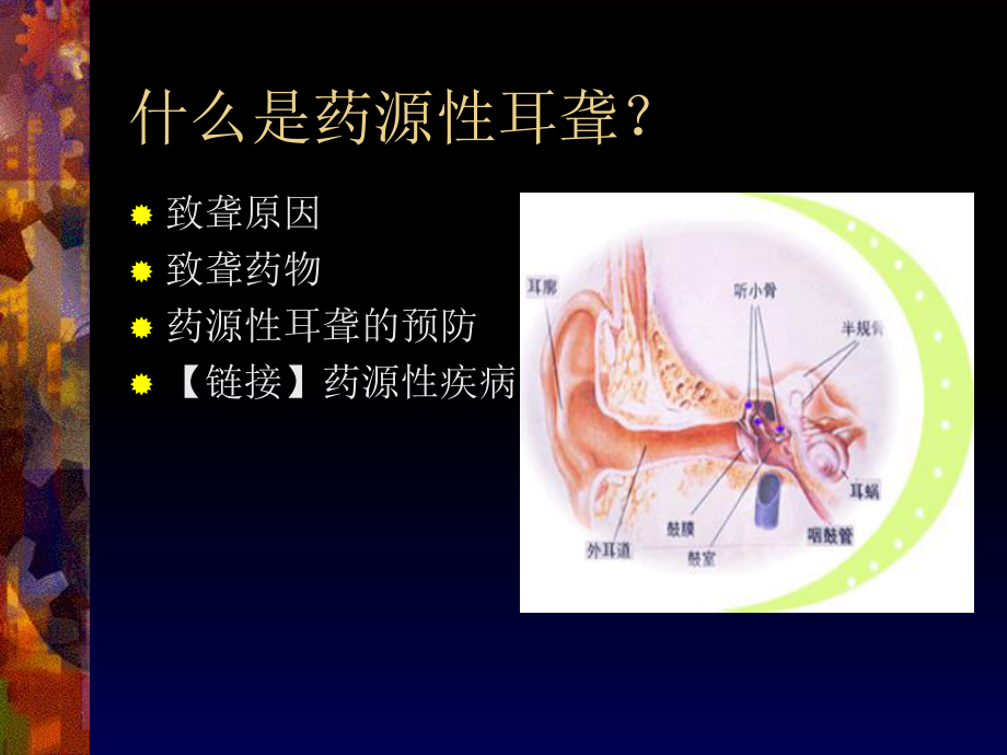 课题药源性耳聋课件.ppt_第2页