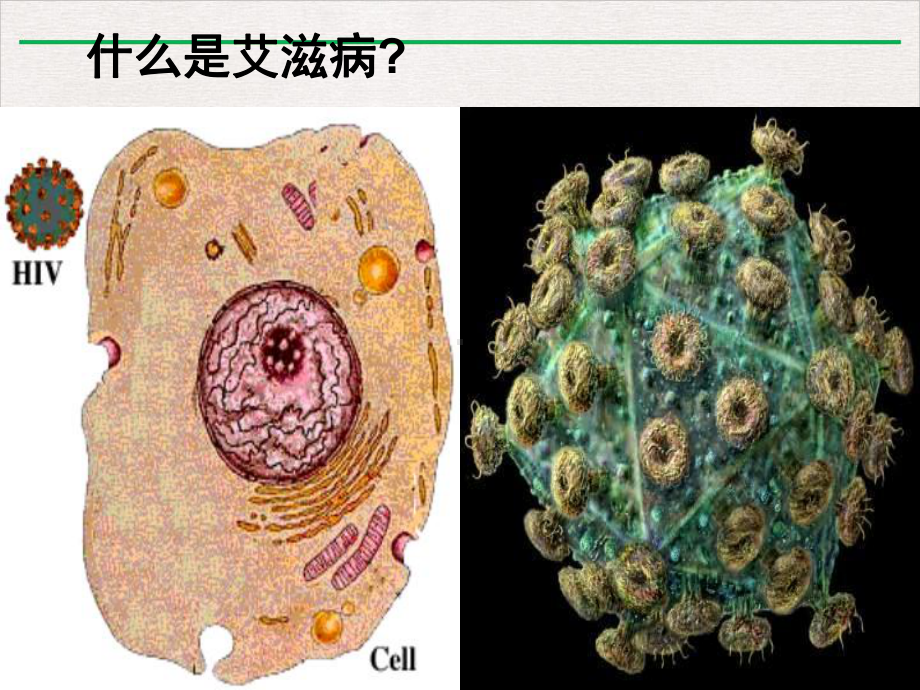 艾滋病职业暴露预防及控制教学课件.ppt_第3页