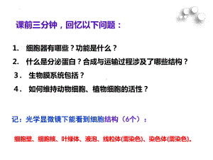 3－3　细胞核ppt课件-2022新人教版（2019）《高中生物》必修第一册.pptx