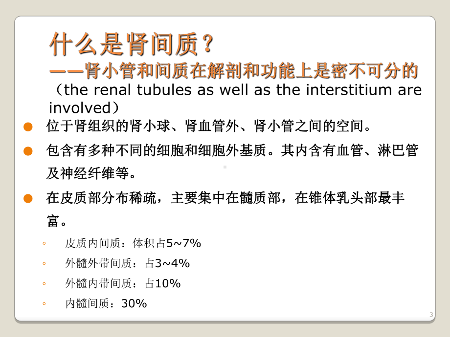 间质肾炎课件.ppt_第3页