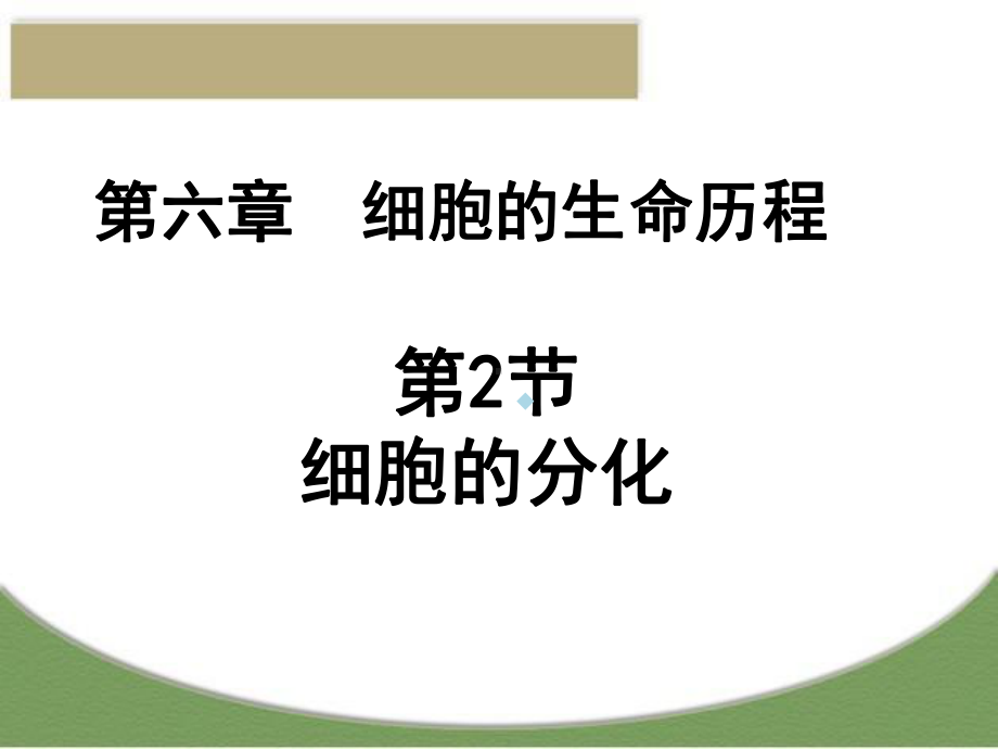 细胞的分化(修改)课件.ppt_第1页