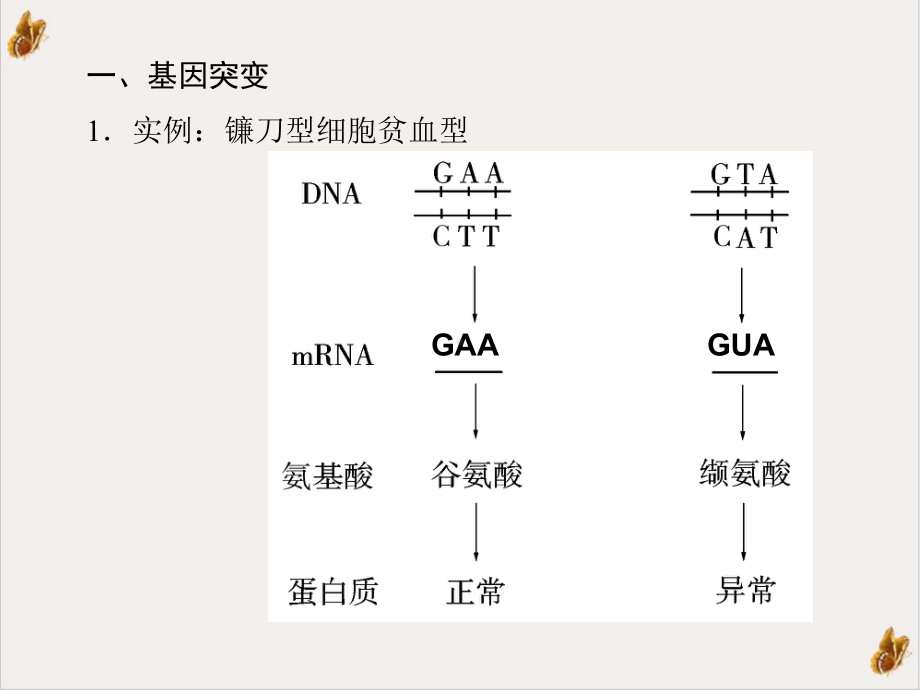 第三章基因突变和基因重组染色体变异优质课件.ppt_第3页