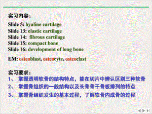 软骨和骨实验优选课件.pptx