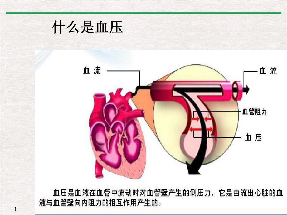 高血压防治及合理用药(最新版)课件.ppt_第2页