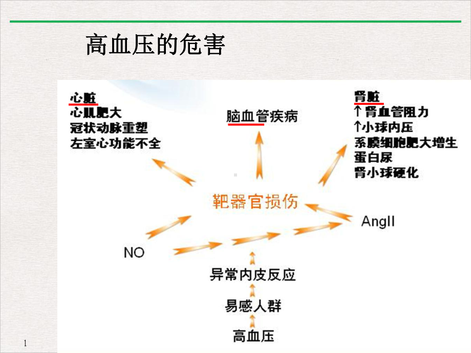 高血压防治及合理用药(最新版)课件.ppt_第3页