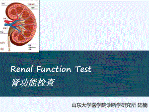 肾功能检查解析课件.ppt