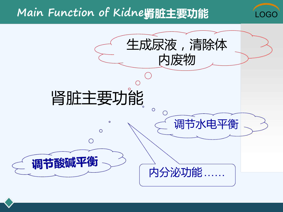 肾功能检查解析课件.ppt_第3页