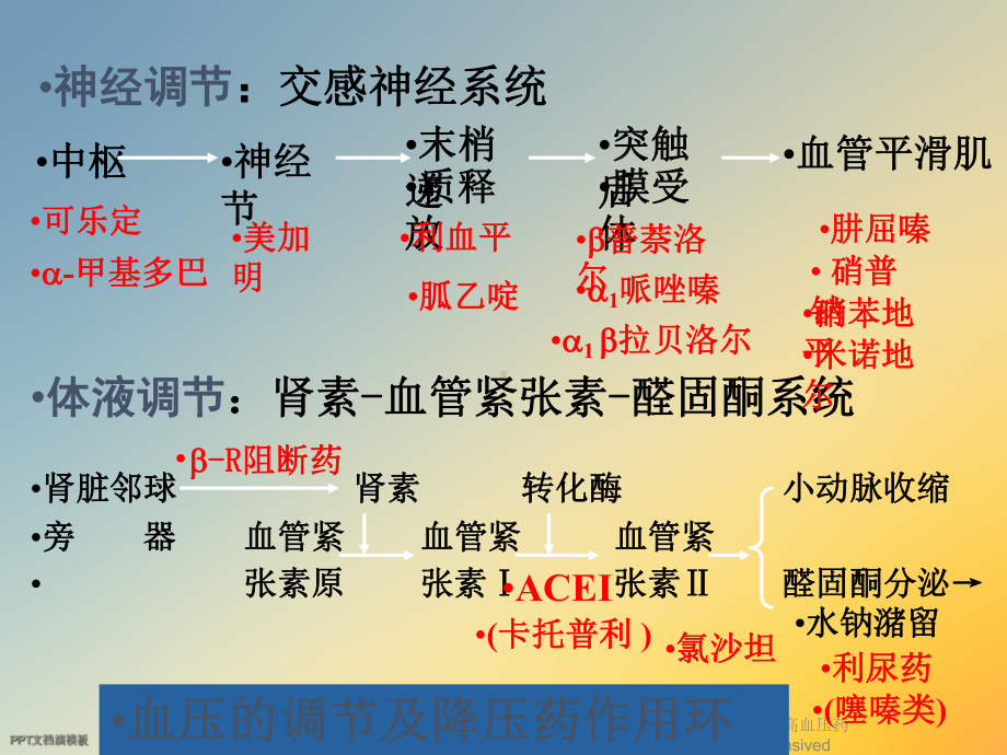 第二十六章抗高血压药antihypertensived课件.ppt_第3页