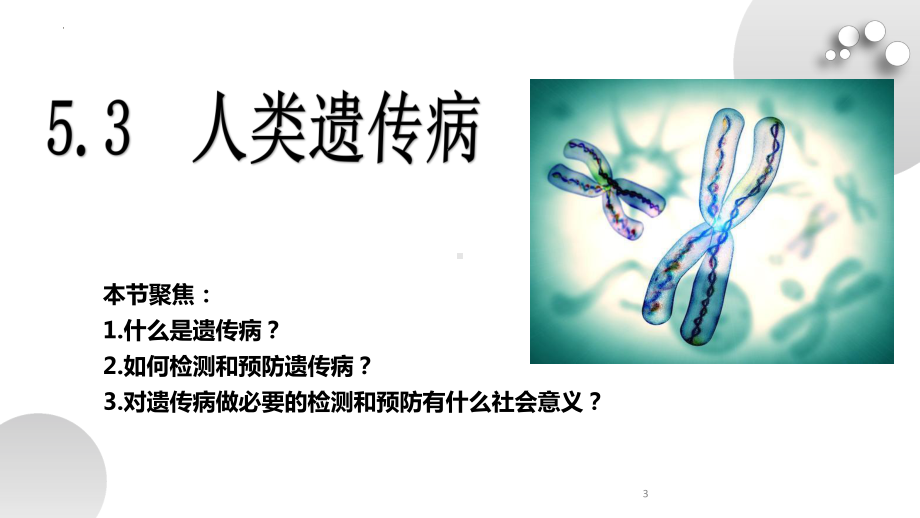 5－3人类遗传病ppt课件-2022新人教版（2019）《高中生物》必修第二册.pptx_第3页