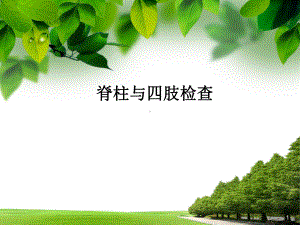 脊柱与四肢检查护理课件.ppt