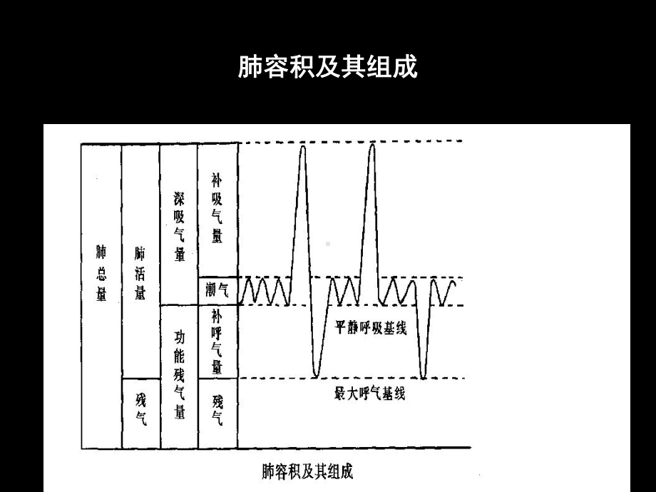 肺功能检查在社区的应用教学课件.ppt_第3页