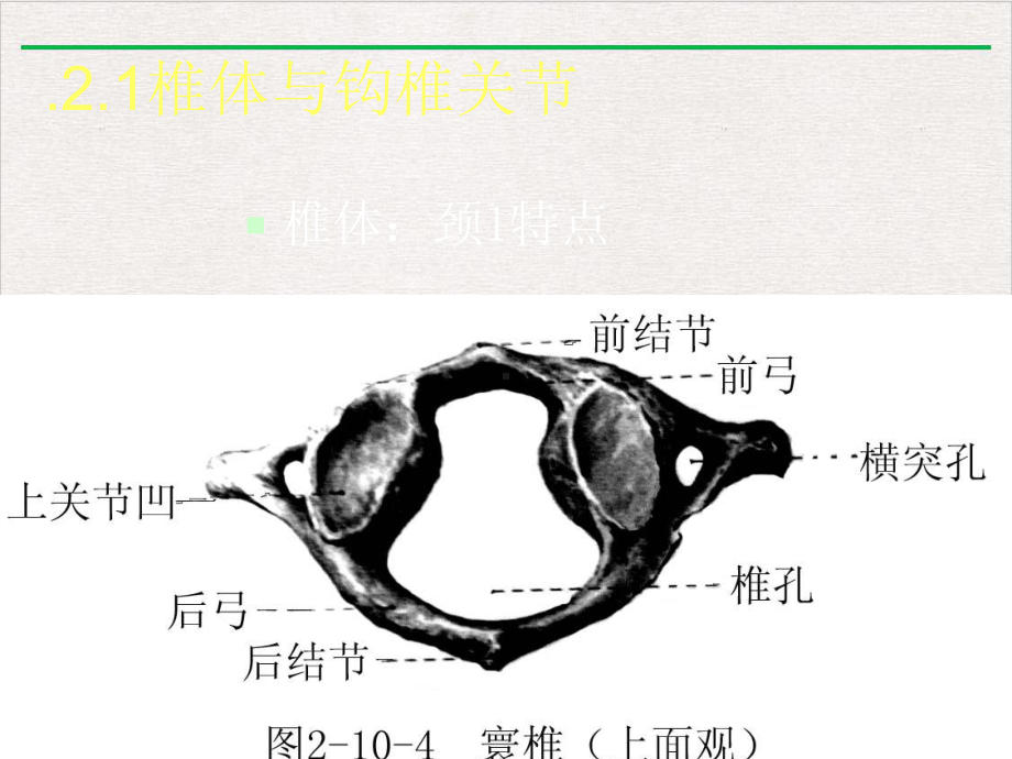 颈椎病康复课件.pptx_第3页