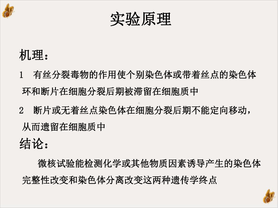 骨髓细胞微核实验课件.ppt_第3页