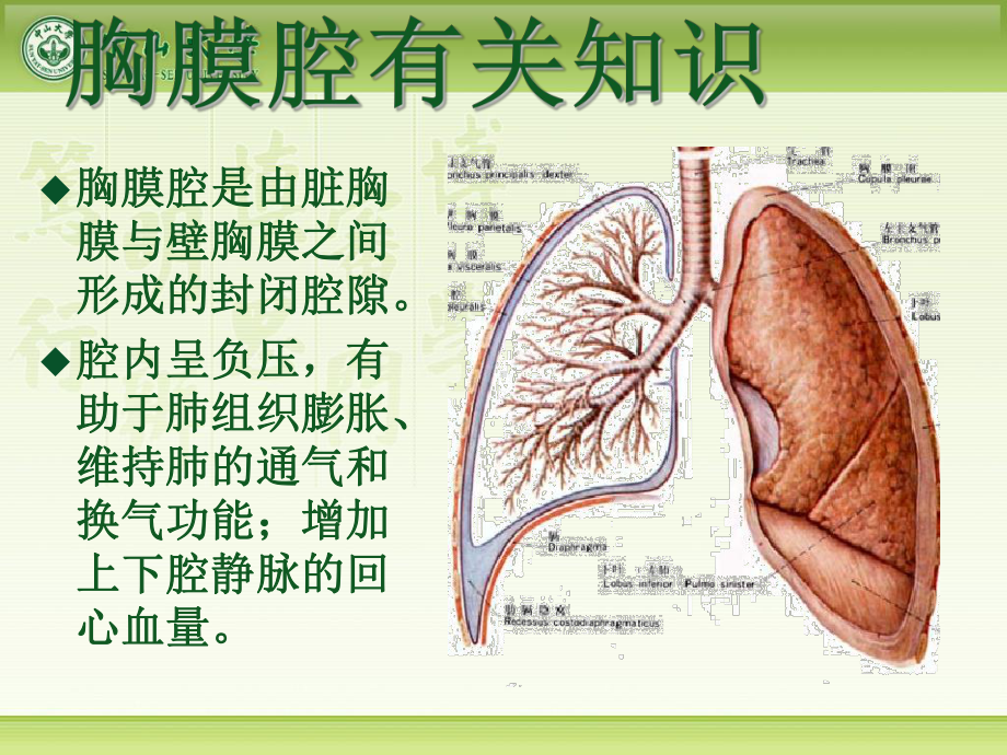 自发性气胸疾病病人的护理查房课件.ppt_第2页