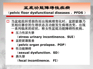 骶前区手术区域解剖与腹腔镜下骶骨固定术幻灯授课课件.pptx