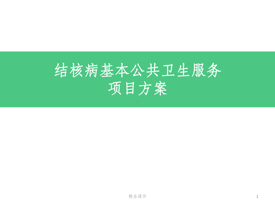 结核病基本公共卫生服务项目方案.pptx_第1页