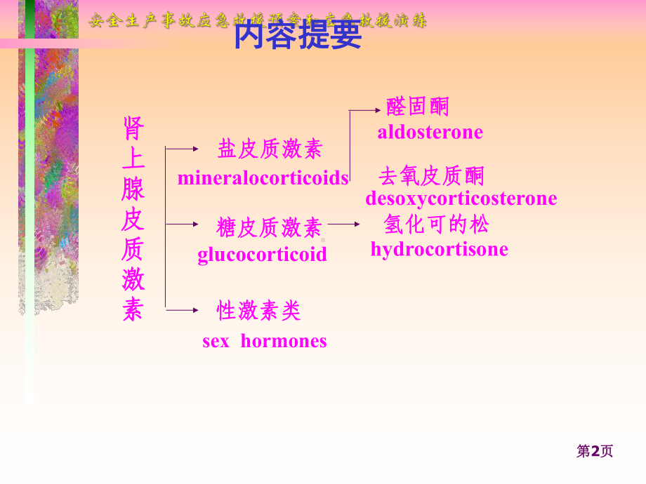 肾上腺皮质激素类药-2课件.ppt_第2页