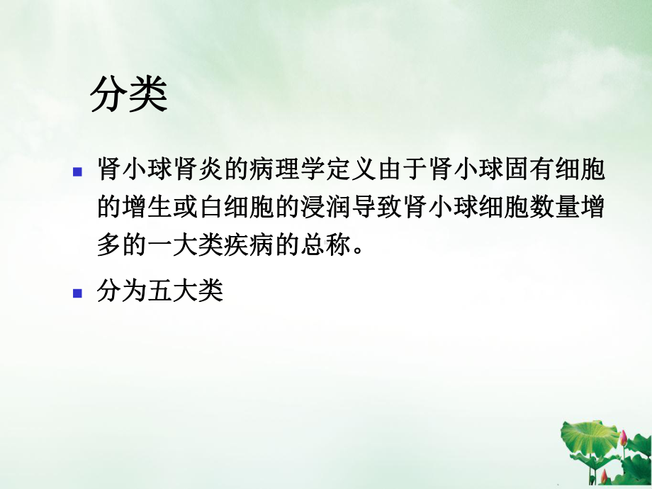 肾小球肾炎最新梅奥分型课件.ppt_第3页