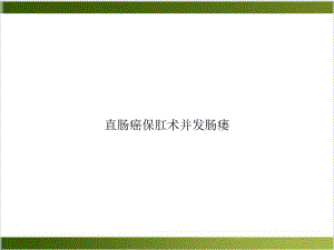 直肠癌保肛术并发肠瘘示范课件.ppt