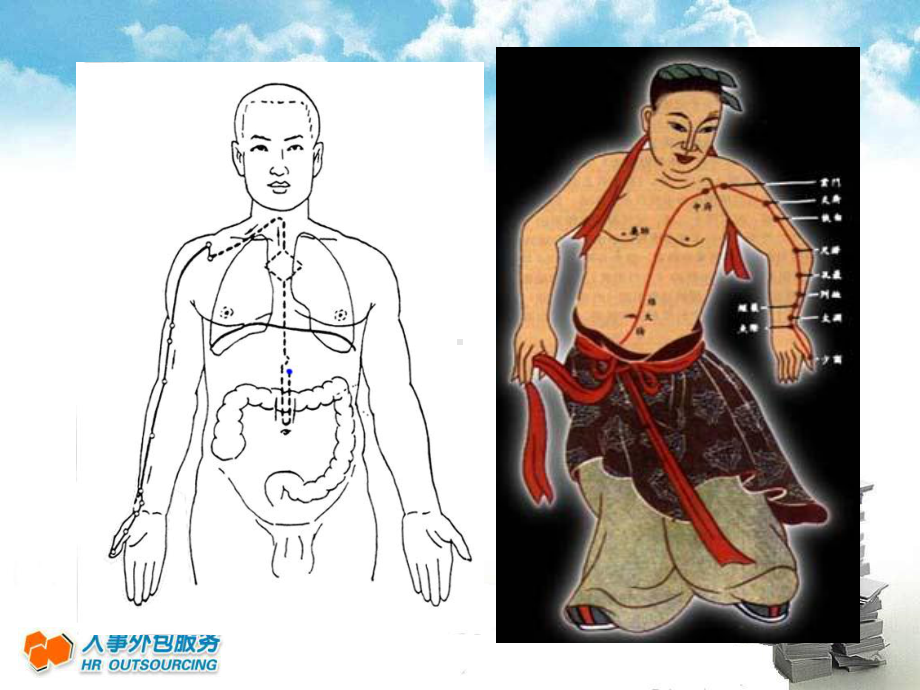 经络各论针灸学课件.ppt_第3页