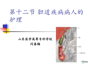 第十二节胆道疾病护理课件.ppt