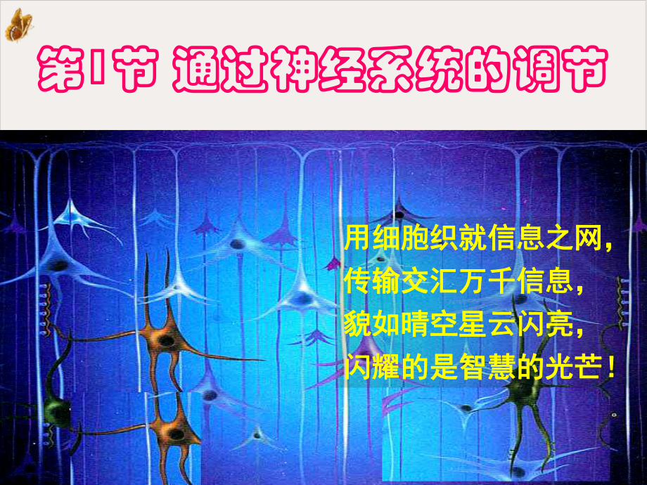 第节通过神经系统的调节教学课件.pptx_第2页