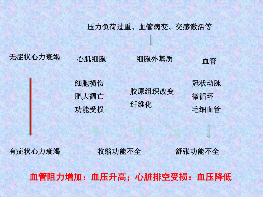 血压与心力衰竭课件.pptx_第2页