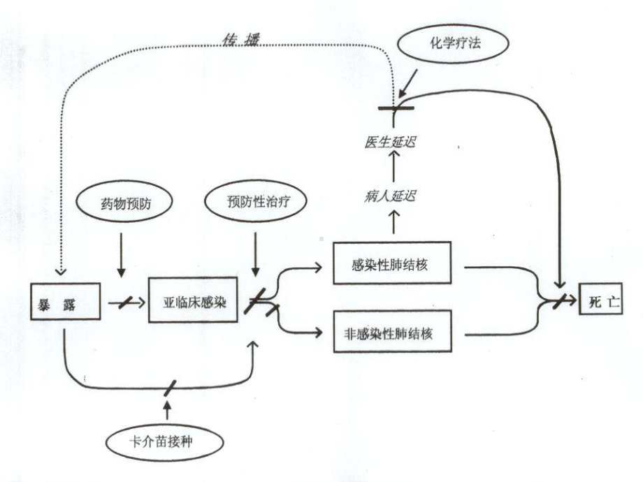 现代结核病控制策略课件.ppt_第3页