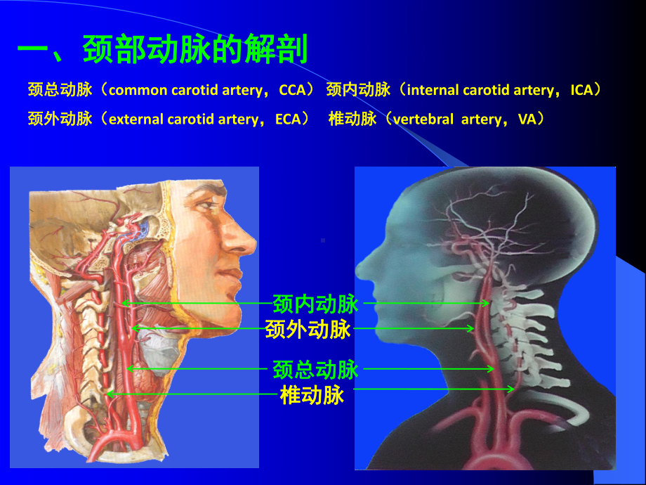 颈部动脉的超声诊断课件.ppt_第3页