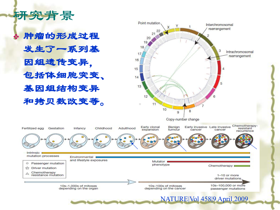 结直肠癌变各阶段的全基因组外显子测序结合数字化表达谱研究课件.ppt_第1页