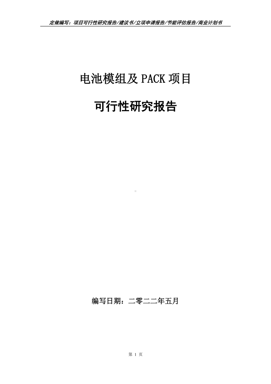 电池模组及PACK项目可行性报告（写作模板）.doc_第1页