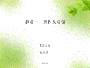 肺癌教学讲解课件讲义.ppt