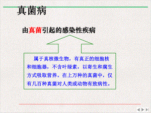 皮肤病实验室检查课件.pptx