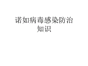 诺如病毒感染性腹泻病防控课件整理.ppt