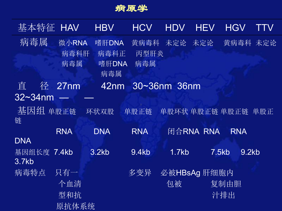 病毒性肝炎的治疗和预防公开课课件.pptx_第2页