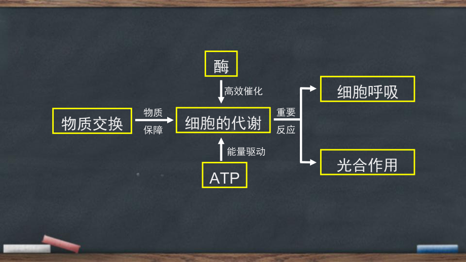 2022新人教版（2019）《高中生物》必修第一册复习3：细胞的代谢（2）（ppt课件）.pptx_第2页